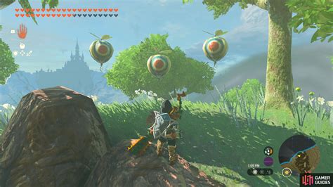 Korok Seed Puzzles .